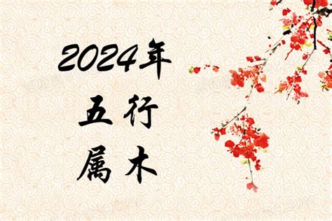 2024年什么命